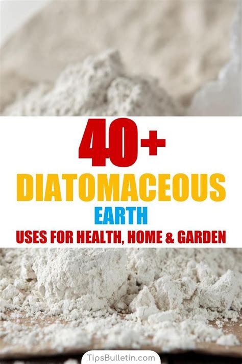 Home gardening is gaining popularity in the united states, where renewed interest in however, despite its benefits, backyard gardening is also associated with many drawbacks nutrition: 40+ Amazing Diatomaceous Earth Uses for Health, Home and ...