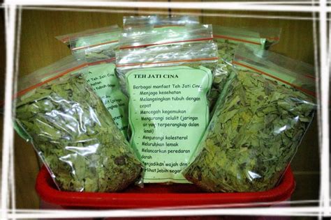 Teh celup jati cina whp adalah herbal pelangsing 100% organik keistimewaan kantong celup : TEH JATI CHINA: MANFAAT TEH JATI CHINA