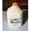 Local Grass Fed Raw Cow Milk 1/2 Gallon  Florida Fields To Forks