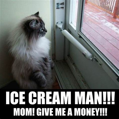 The memes very relatable for anyone (read: ice cream man mom give me money meme generator