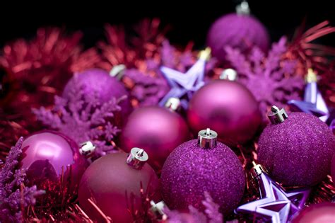 Free Download Free Stock Photo 6825 Purple Christmas Celebration