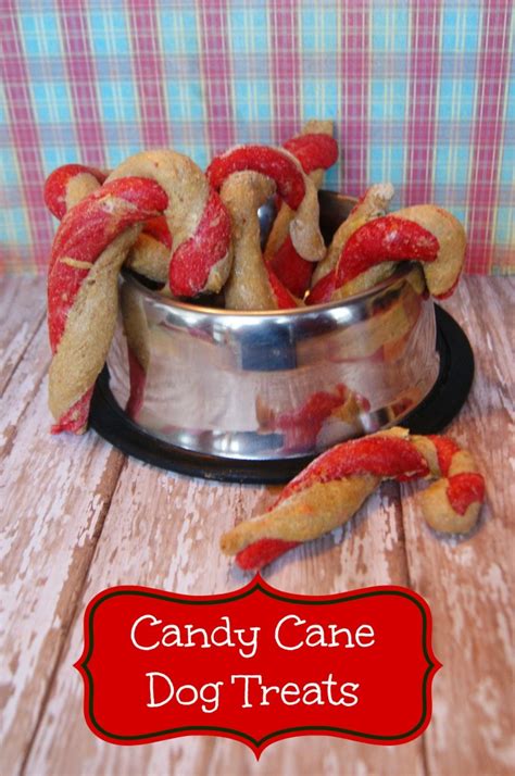 Using natural food colouring ingredients in my favourite way to tint homemade dog treats. Homemade Candy Cane Dog Treats - Pet Coupon Savings