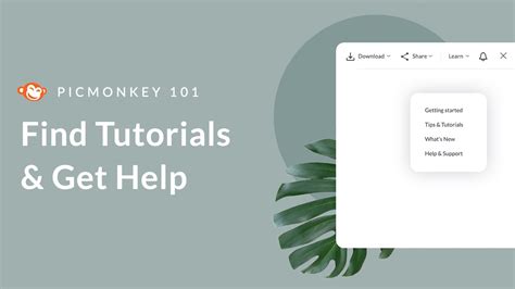 Picmonkey Find Tutorials Get Support Youtube