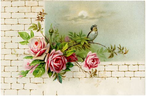 Vintage Roses On Wall Image Lovely The Graphics Fairy