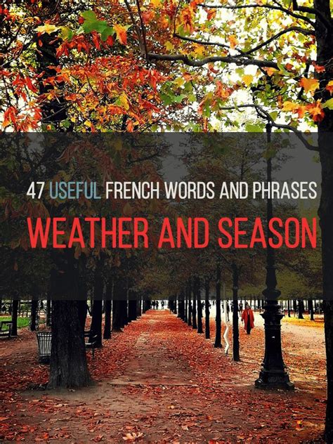 French Vocab Weather And Seasons La Meteo Et Les Saisons Teaching