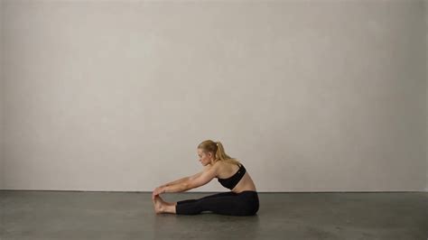 Seated Pike Video Instructions And Variations