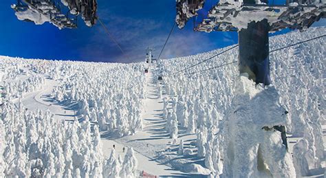 Zao Yamagata Snow Monster Japans Most Spectacular Views In Winter