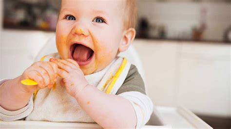 Dicas De Como Fazer A Introdução Alimentar Nos Bebês O Liberal