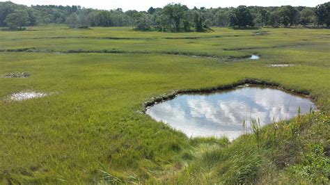 Salt Marshes Of The Nh Seacoast Nh State Parks