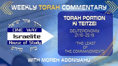 Torah Portion Ki Teitzei Commentary The Least Of The Commandments