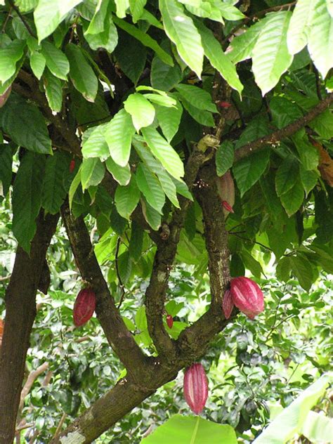 If it's outside, we're all in. Rick, Deb and Izzy Aboard M/V Broulee and other Wild ...