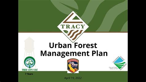 Urban Forest Management Plan Presentation Youtube