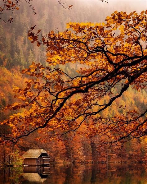 A Dream Within A Dream Autumn Magic Autumn Cozy Fall Pictures Fall