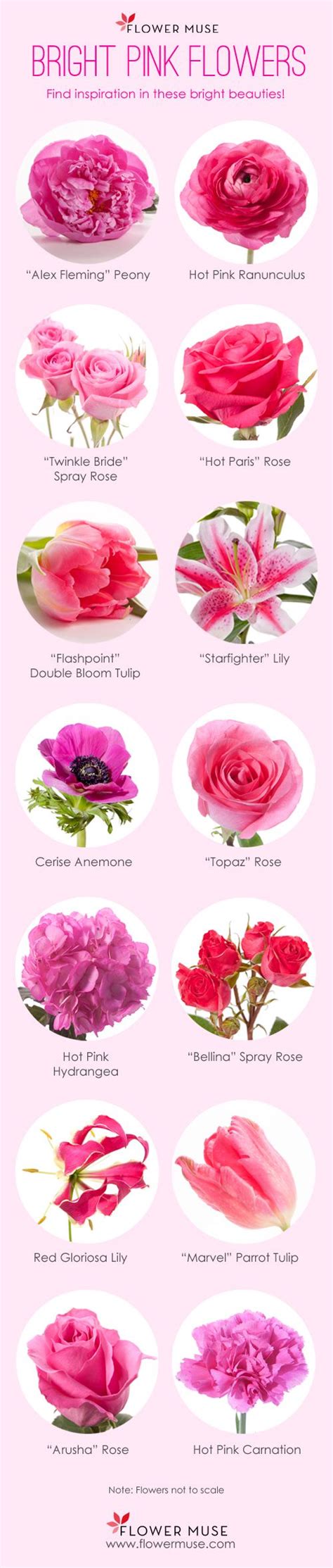 Our Favorite Bright Pink Flowers Flower Muse Blog Wedding Flowers Pink Roses Pink Wedding