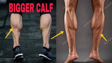 Build Stronger Calves Lower Leg Muscles Massive Calves Get Bigger