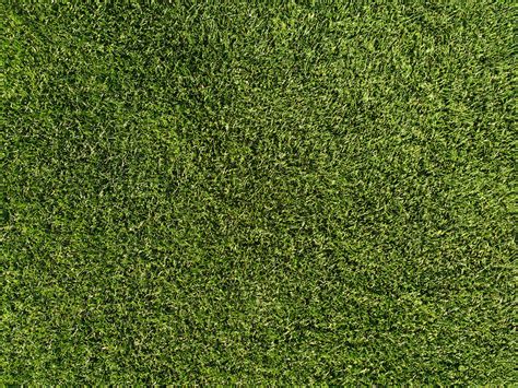 Download Grass Textures For Photoshop Wallpaper