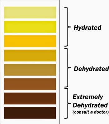 🖼️ also available as a poster print the color tones shown above are for illustration purposes only, and may not accurately represent any dehydration level. Orines de colors - Ara.cat