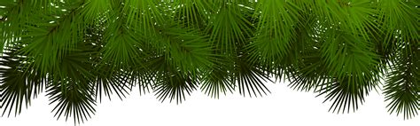 Christmas Tree Branch Png Free Logo Image