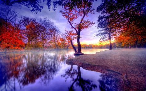 Hd Tree Flowers 3d Trees Lake Sky Nature Photography Wallpapers Autumn Landscape