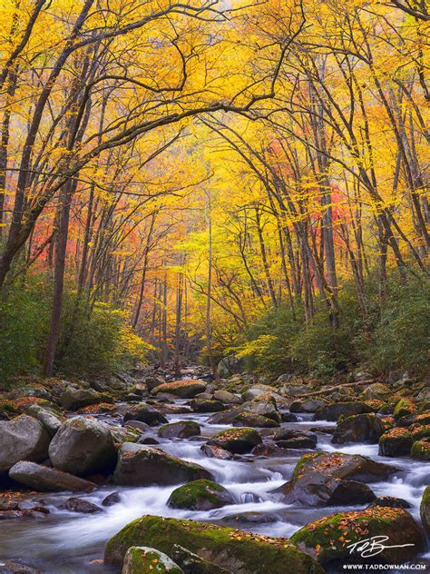 Fall Archway Great Smoky Mountains National Park North Carolina