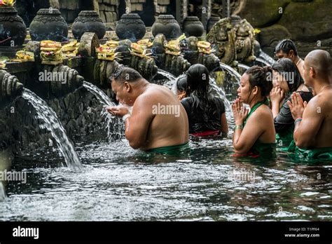 Bali Indonesia January 22 2019 People Praying In The Holy Spring Water Of Pura Tirta Empul