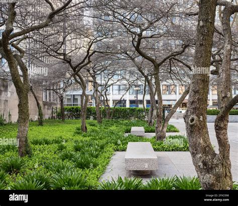 Art Institute Of Chicago South Garden Designed By Dan Kiley Stock Photo