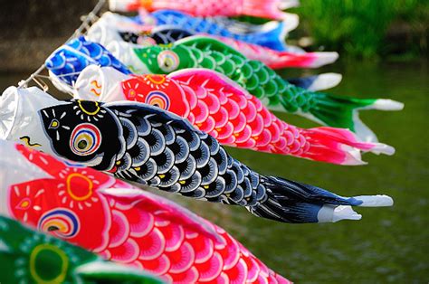 kodomo no hi こどもの日 5 maggio la festa dei bambini japan garden