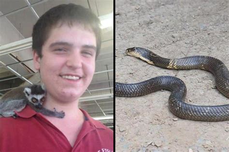 Suicide By Snake Did Pet Shop Teen Goad Deadly Cobra Into