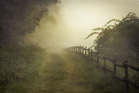 Hd Wallpaper Landscape Nature Photography Morning Mist Fence Path