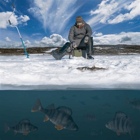 Ice Fishing 101 Ultimate Beginners Guide With All You Need To Know