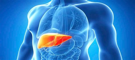 Easl (european association for the study of the liver. Lucha contra la hepatitis en su día mundial - Cuba en Noticias