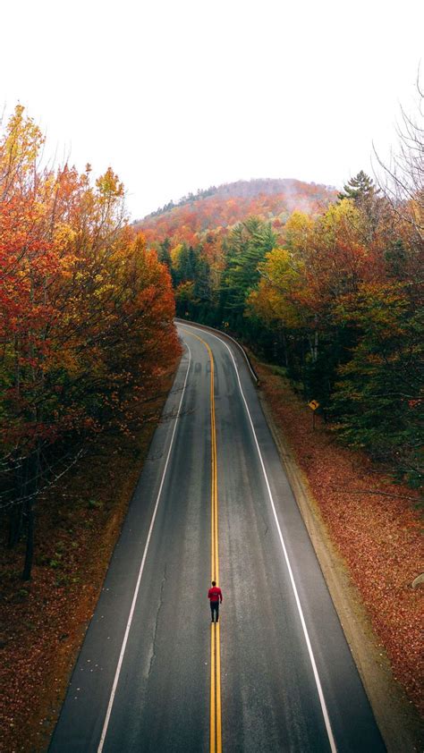 Autumn Road Iphone Wallpapers