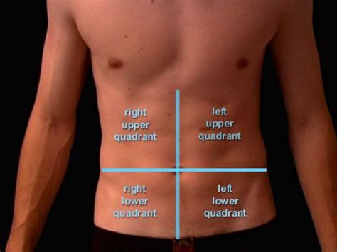 Surface anatomy of the head and neck. Pin by Ronin Wong on Human Body | Pinterest