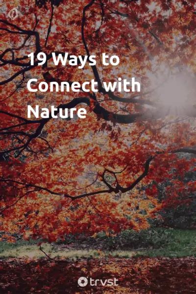 19 Ways To Connect With Nature For Wellbeing And Inspiration