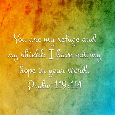 Psalm 119 114 New International Version NIV Bible Apps Psalms