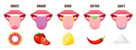 Human Taste An Evolutionary Perspective