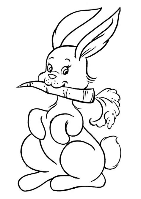 Coloring Pages Rabbit Eating Carrot Coloring Page