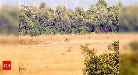 In some cases however, even though the government initiates the development plan which may involve acquisition of private Collector to focus on land acquisition for highways | Pune ...