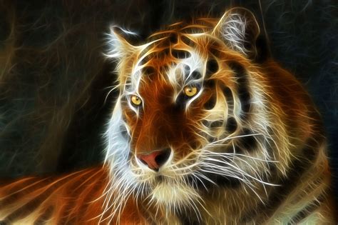Inspirasi Terbaru Wallpaper D Hd Tiger