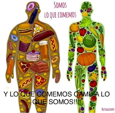 Obesidad La Enfermedad Paraguas Socalemfyc Sociedad Castellano Leonesa De Médicos De