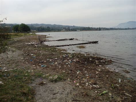 .ikan di danau saguling tepatnya dekat cililin jawabarat, untuk ikan di sini yang sering menampakan diri baru ikan nila dan beberapa ikan gabus kecil saja mungkin karna danau ini masih surut. Danau Toba Surut, Tepi Pantai Penuh Sampah - Seputar Bona ...