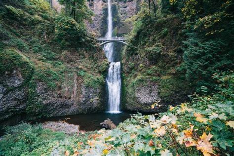 Portland Columbia River Gorge Tour Am Morgen Getyourguide