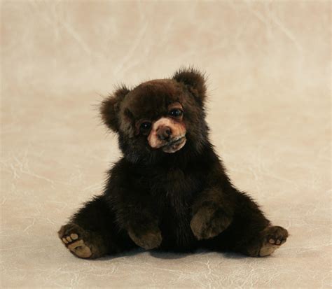 Newborn Baby Black Bear Newborn Baby