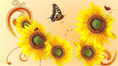 Sunflower Desktop Wallpapers Free Wallpaper Cave