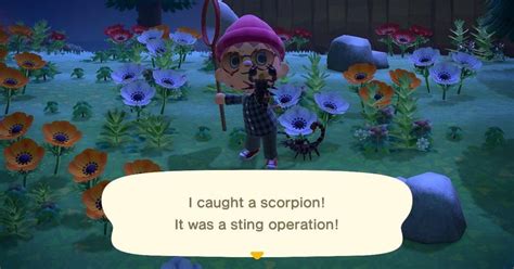 New horizons that lets you further customize the look animal crossing: When Do Scorpions Come out on 'ACNH'? An 'Animal Crossing' Guide