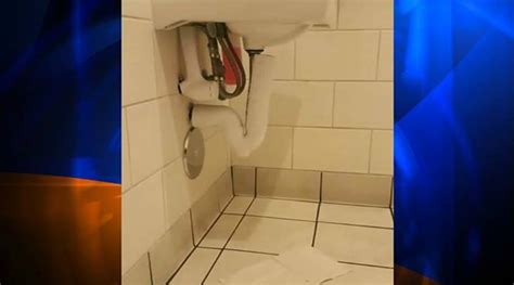 video 5 year old finds hidden camera in starbucks women s bathroom