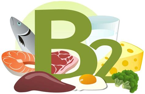 Vitamina B2 Benefícios E Alimentos Que A Contém Saúde Blog Opas