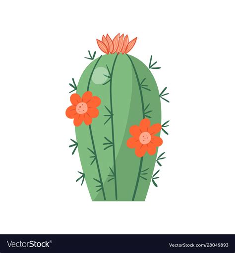 Cartoon Cactus Bright Cacti Colored Royalty Free Vector