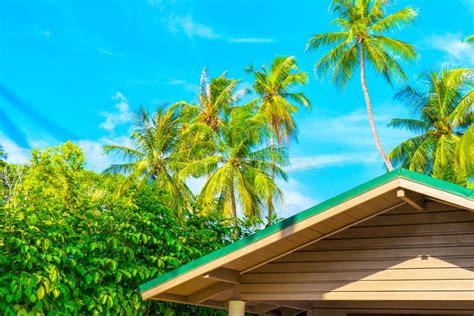 Tropical Bungalow On The Amazing Beach With A Palm Tree Stock Photo