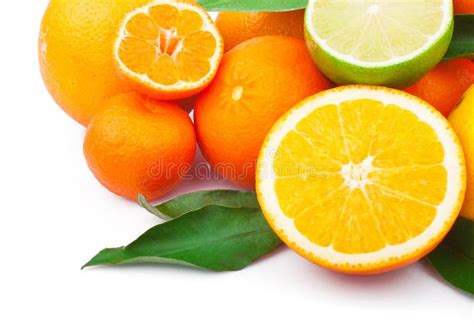 Citrus Fruits Stock Photo Image Of Tasty Lemon Ripe 30369394